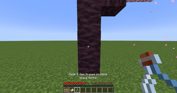 Here How it Looks Like on Item Frame (with invisibility)