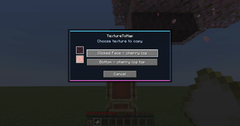 Choose Texture