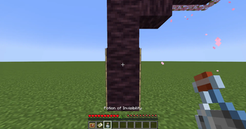 Here How it Looks Like on Item Frame (without invisibility)
