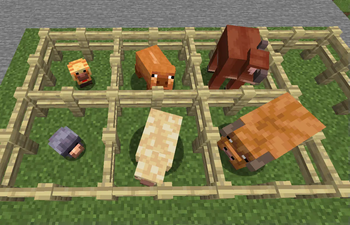 New Animal Variants