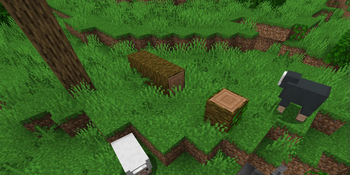 Fallen Trees