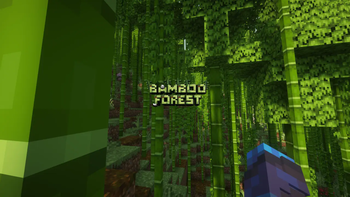 Bamboo Forest