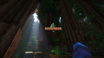 Redwoods