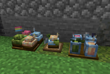 Star Meow Craft