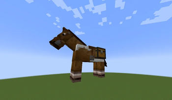Horse with chest