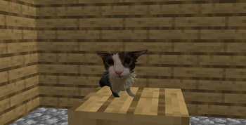 Soggy Item