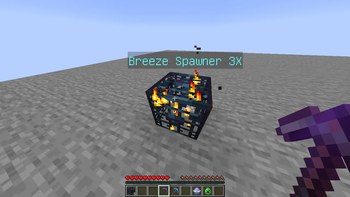 Customizable names