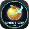 Smart Gap