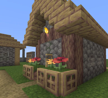 Villager House