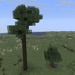 Vanilla Trees