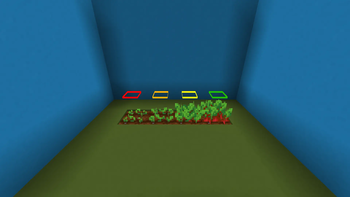 Beetroot Stages