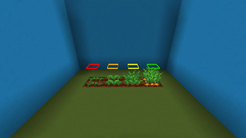 Carrot Stages