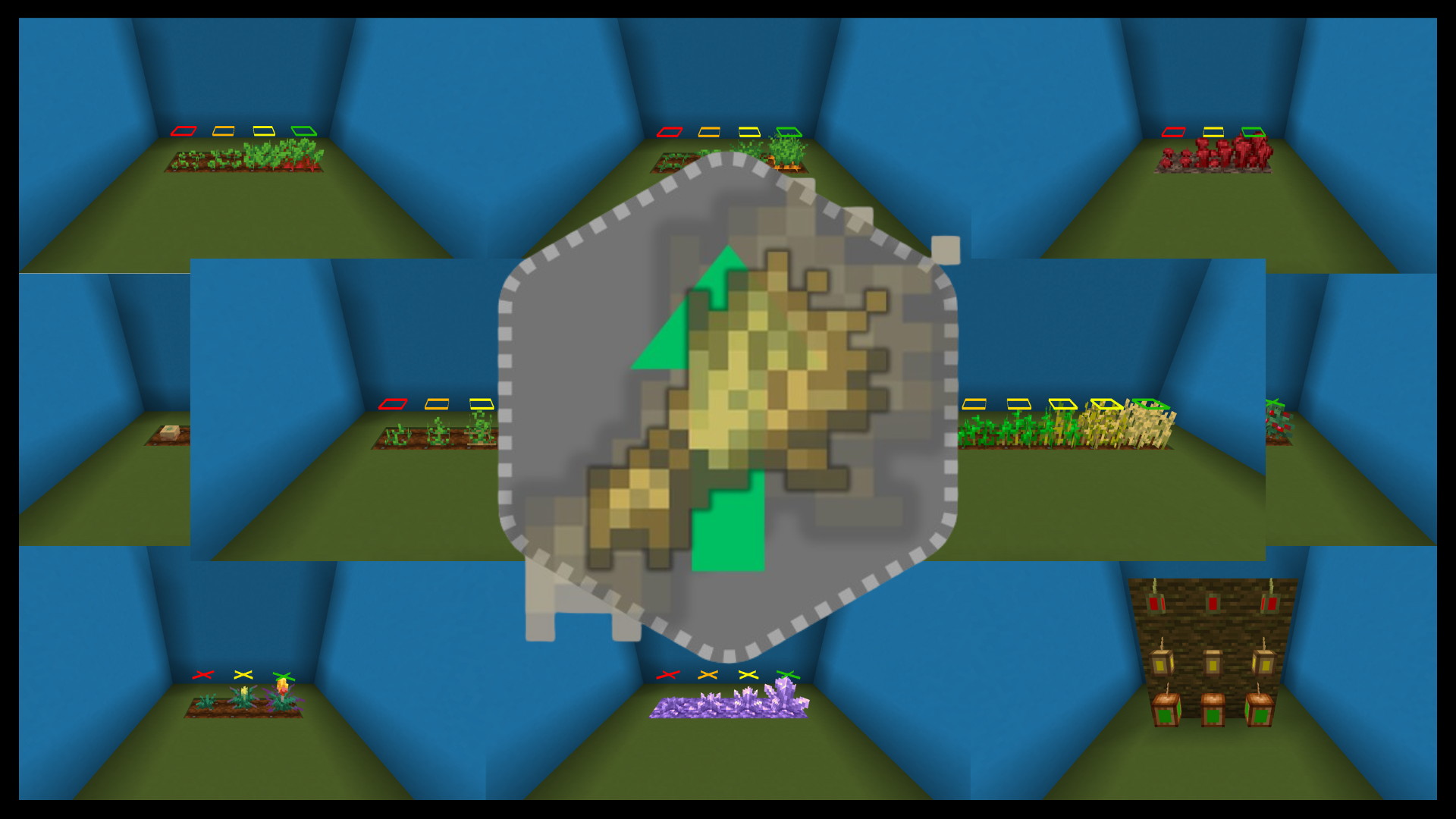 All the grow stages