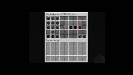 PIN GUI
