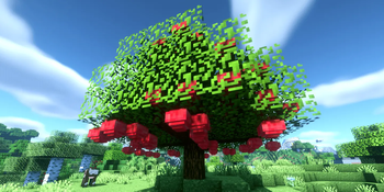 Apple Tree