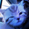 Blue CatPack 图标