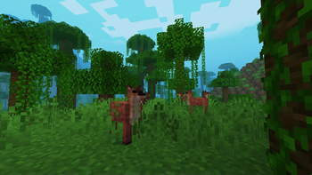 Brocket Deers