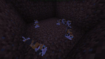 A litter of 5