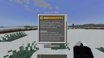 Ninja Origin — screenshot 1