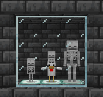 Skeletons