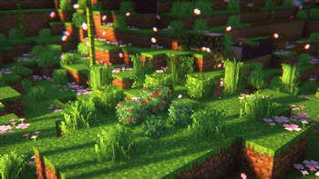 The Bush model showcase