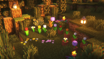 The Swamp Flower showcase