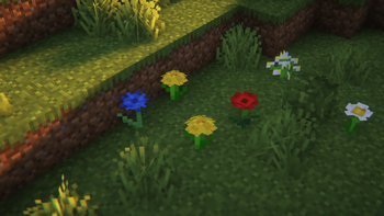 The Field Flower showcase