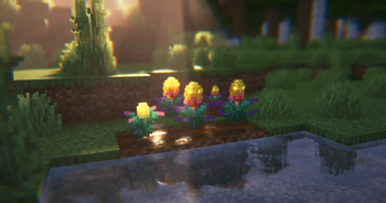 The Torchflower model showcase