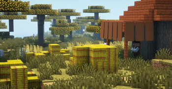 Morning in savanna