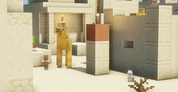A desert scene