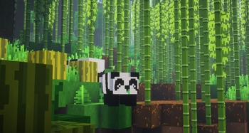 A Wild Panda