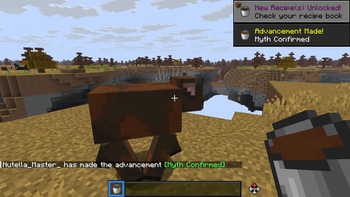 Chocolate Cow