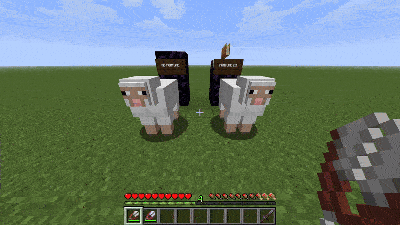 Fortune Sheep
