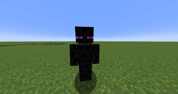 Enderman Guard