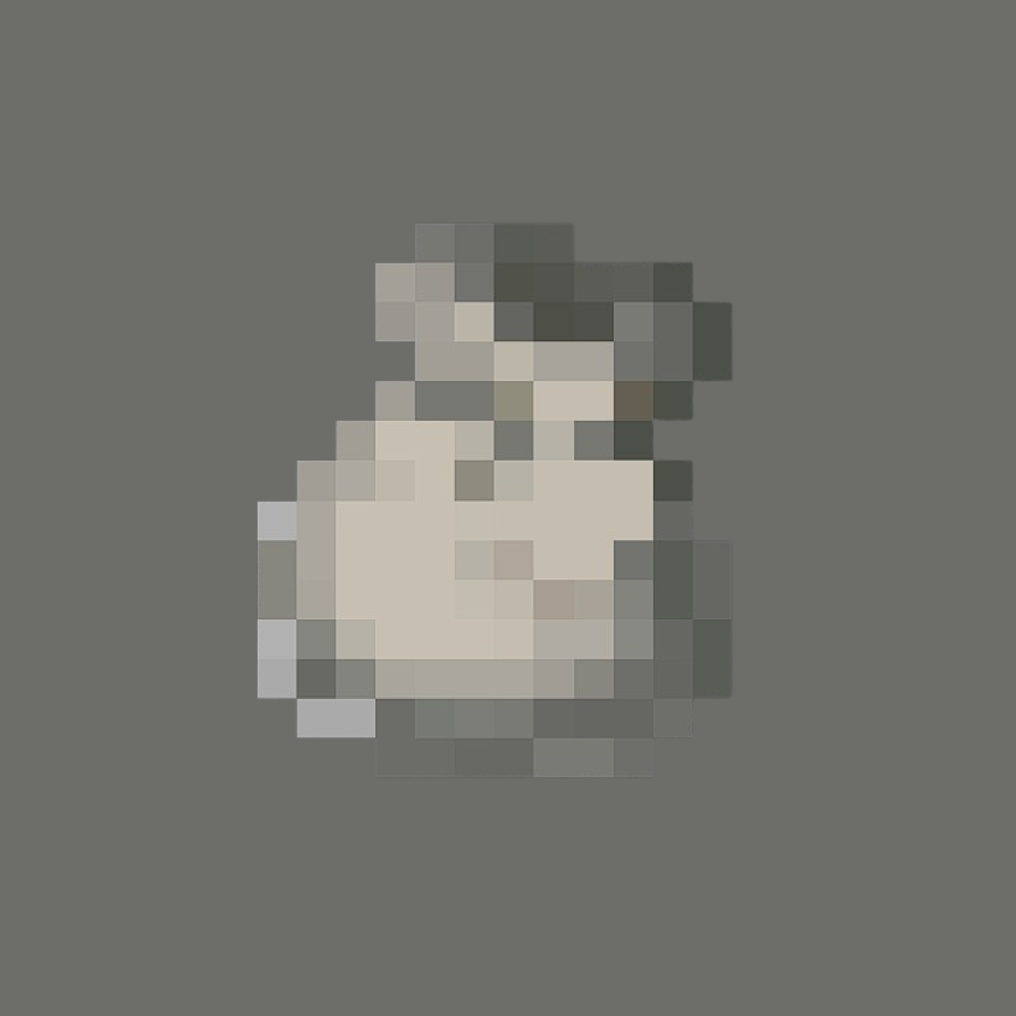 Ore Pouch