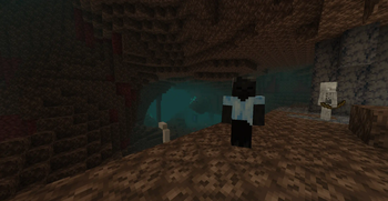 Decay in the Nether