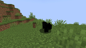 The dumb cat thing
