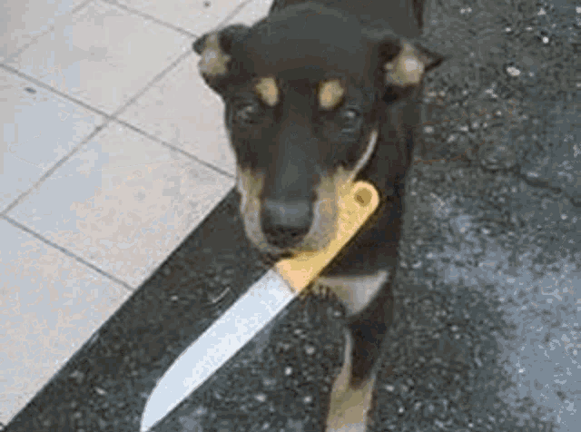 wolf sword mod