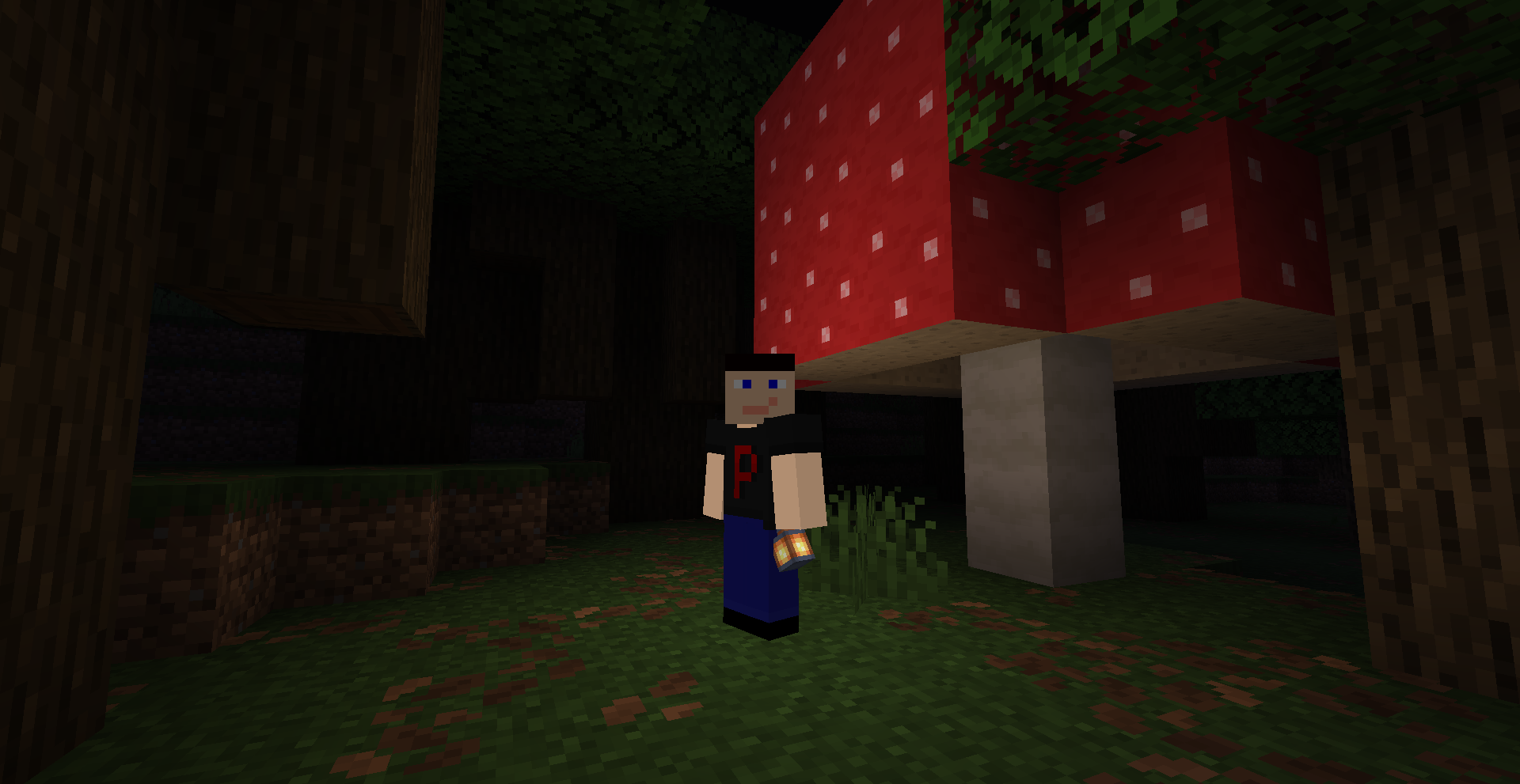 Showcase Image