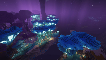 End Biome