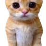 monky rares logo