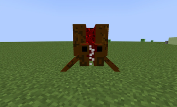 parasited spider