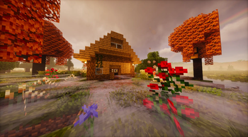 My house