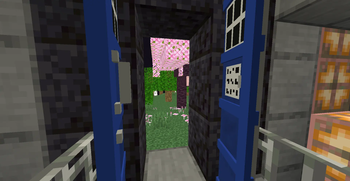 Outside preview