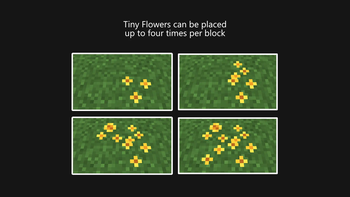 Tiny Flowers can be placed up to four times per block