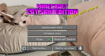 MainMenu