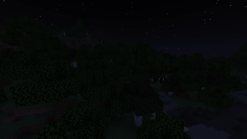 Night
