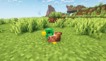quack