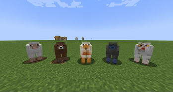 All Sheep Variants