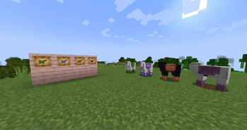 Sheep Armors